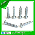 M3 Pan Head Screw Anti-Theft Screw